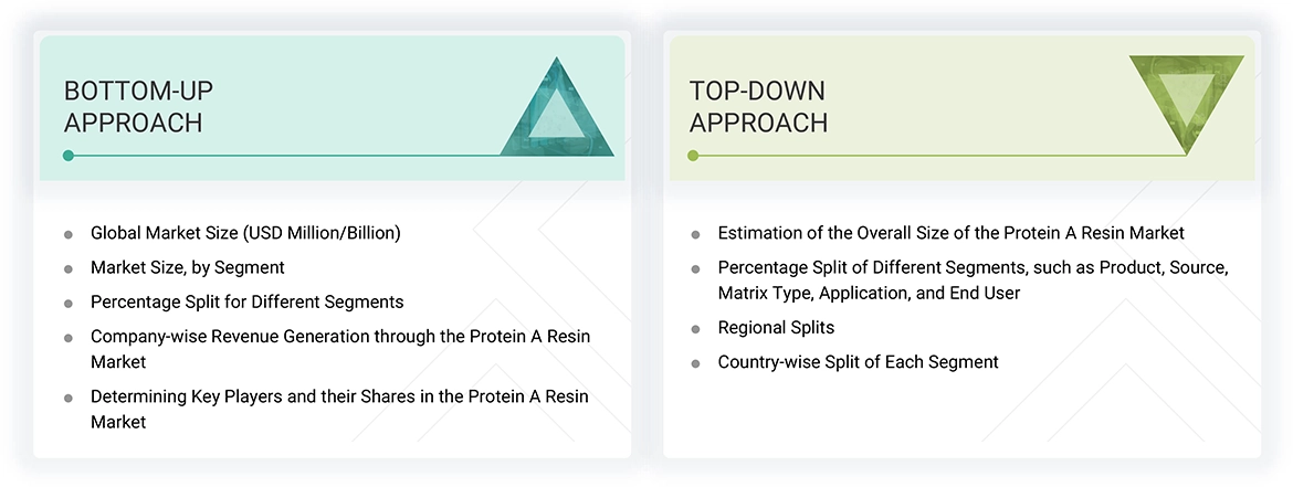 Protein A Resin Market Top Down and Bottom Up Approach Protein A Resin Market