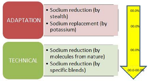 Sodium Reduction Ingredients Market By Application And Types 2019 Marketsandmarkets