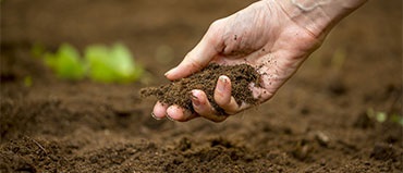 Soil Amendments Market Industry Analysis | Types, Advantages, and Forecast