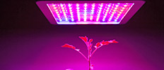 LED Grow Light Market by Size, Share, and Industry Report [Latest]