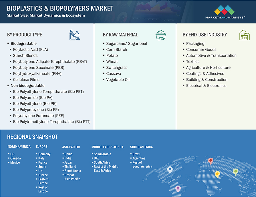 Bioplastics & Biopolymers Market Segmentation & Geographical Spread