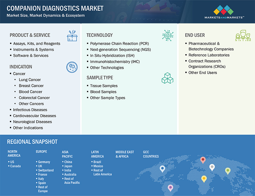 Companion Diagnostics Market Segmentation & Geographical Spread