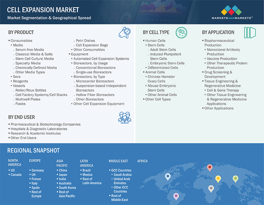 Cell Expansion Market Segmentation & Geographical Spread