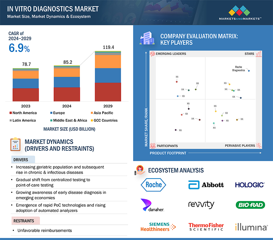 In Vitro Diagnostics Market Size, Dynamics & Ecosystem