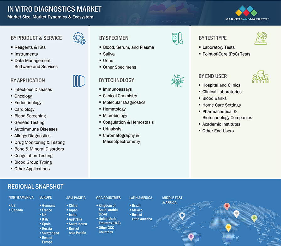 In Vitro Diagnostics Market Segmentation & Geographical Spread