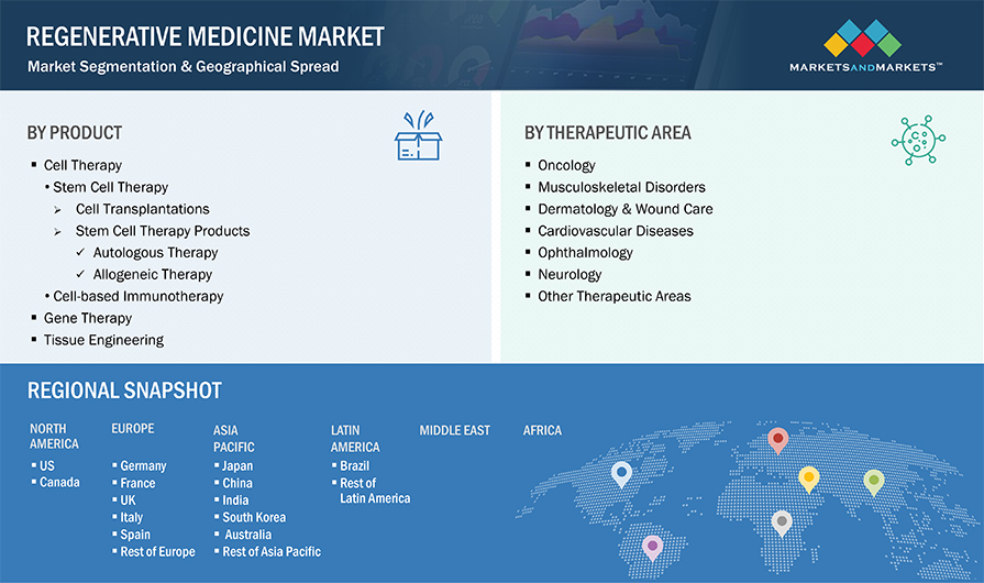 Regenerative Medicine Market Segmentation & Geographical Spread
