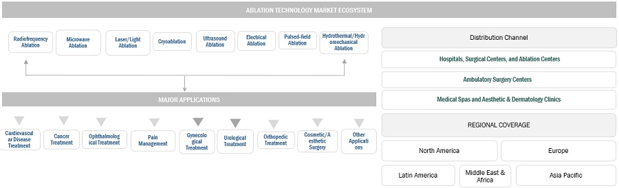 Ablation Technology Market Ecosystem