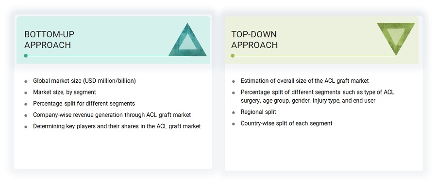 ACL Graft Market Size, and Share 