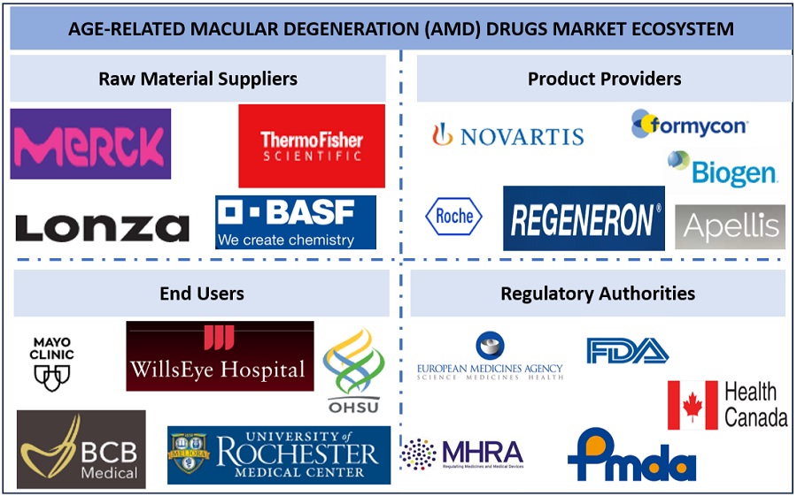 Age-Related Macular Degeneration Drugs Market Ecosystem