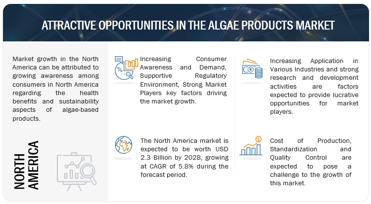 Algae Products Market 