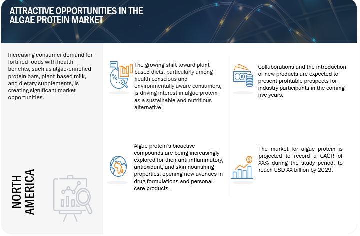 Algae Protein Market Opportunities