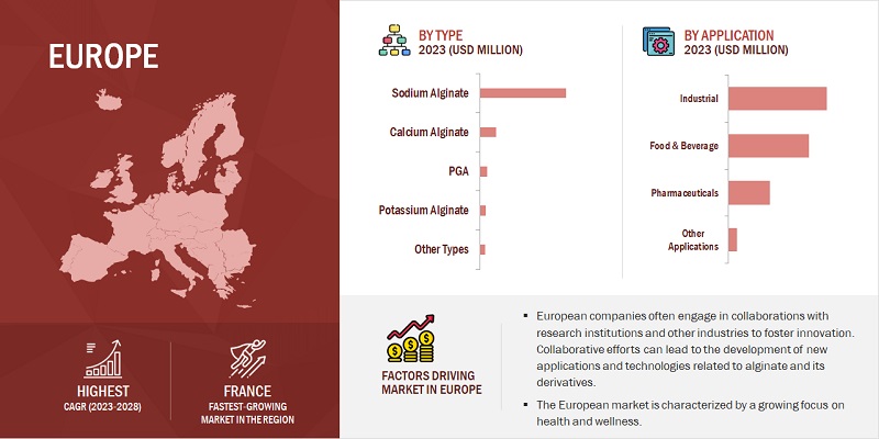 European Alginates and Derivatives Market Size, and Share