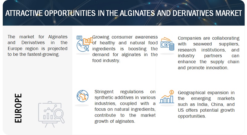 Alginates and Derivatives Market Opportunities