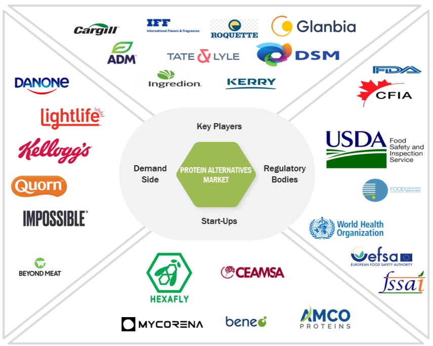 Top Companies in Protein Alternatives Market 