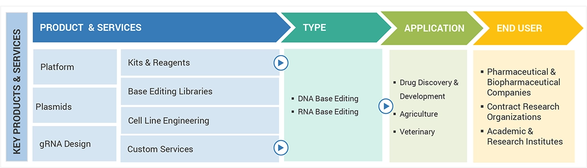 Base Editing Market Ecosystem