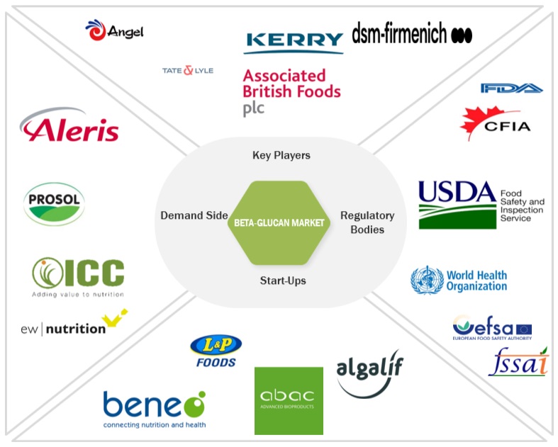 Beta-Glucan Market Ecosystem