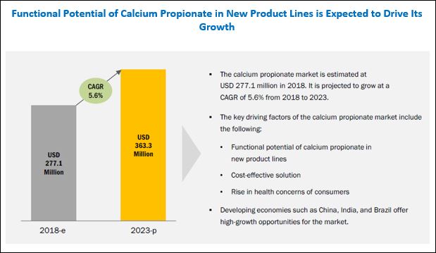 Global Calcium Propionate Market Size Share Industry - 