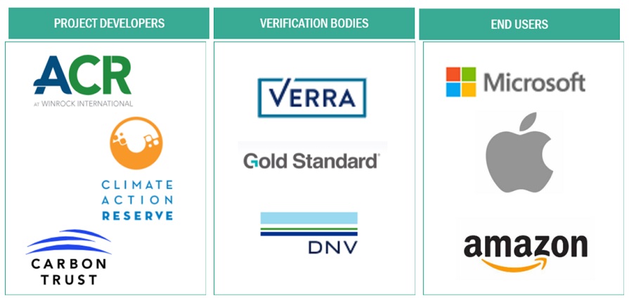 Top Companies in Carbon Credit Validation Verification and Certification Market 