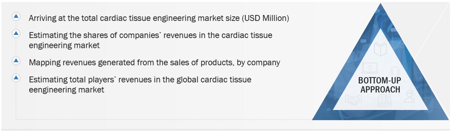 Cardiac Tissue  Engineering Market Size, and Share 