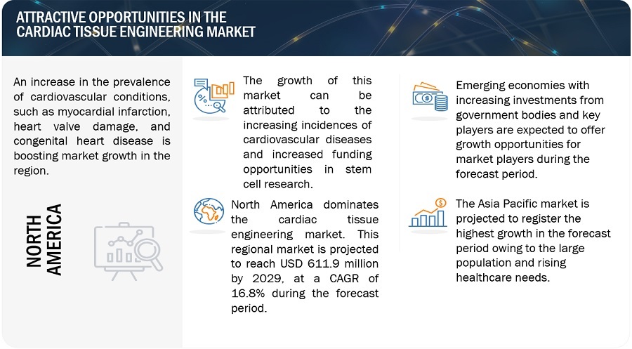 Cardiac Tissue Engineering Market