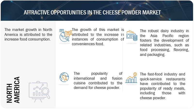 Cheese Powder Market Opportunities