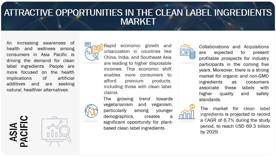 Clean Label Ingredients Market Opportunities