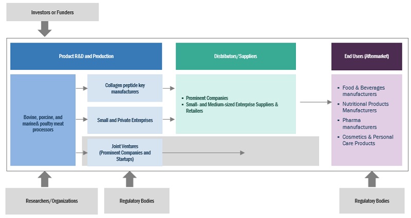 Collagen Peptides Market Ecosystem