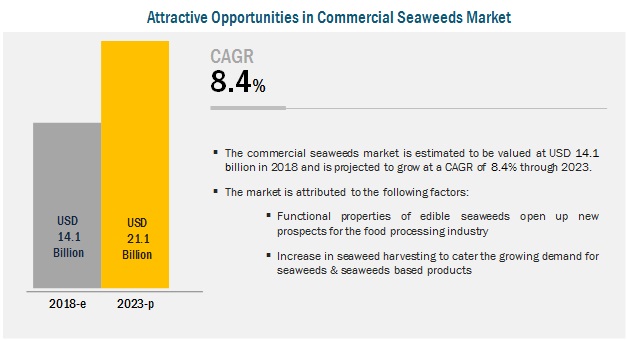 seaweed consumption