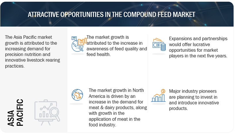 Compound Feed Market 