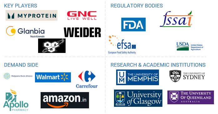 Creatine Supplement Market Ecosystem