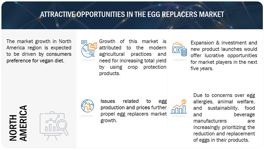 Egg Replacers Market Opportunities