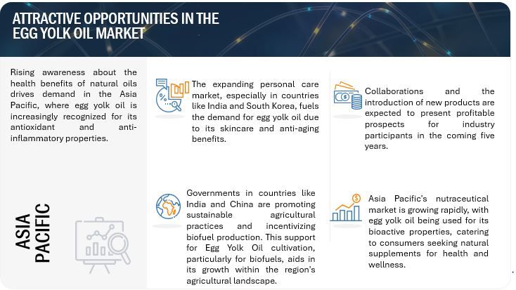 Egg Yolk Oil Market Opportunities