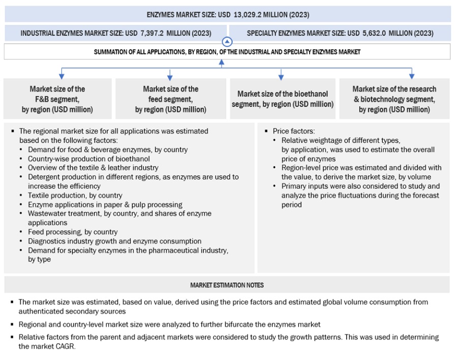 Enzymes Market Top Down Approach by Size