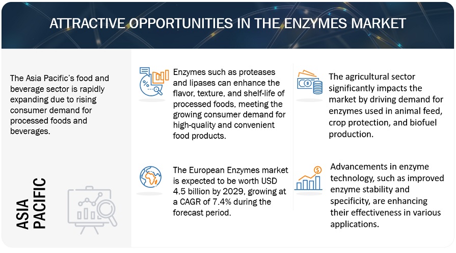 Enzymes Market Opportunities