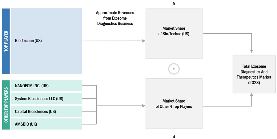 Exosome Diagnostics  and Therapeutics Market Size, and Share 