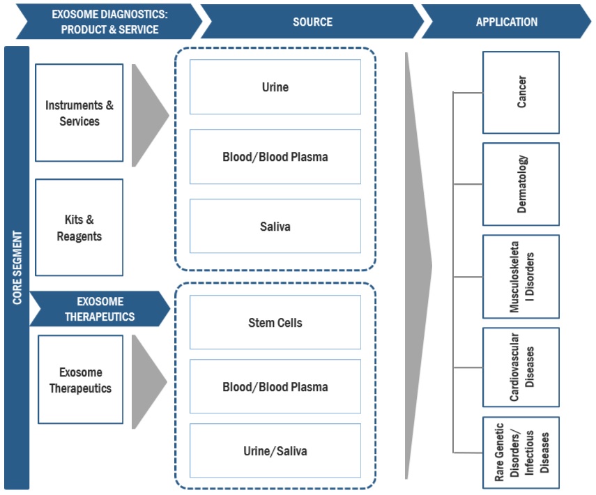 Exosome Diagnostics  and Therapeutics Market Ecosystem