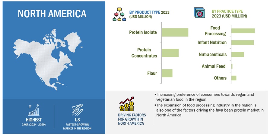 Fava Bean Protein Market Size, and Share