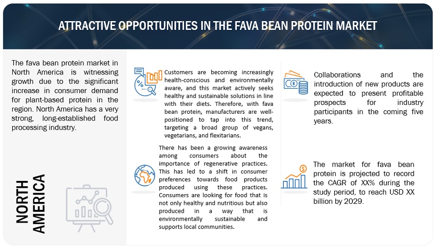 Fava Bean Protein Market Opportunities