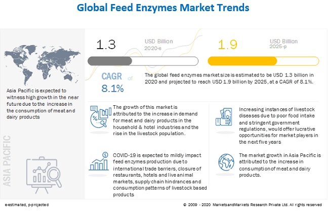Feed Enzymes Market Projected to Reach $1.9 Billion by 2025 | Key
