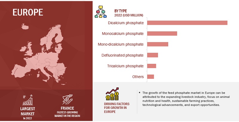 Feed Phosphates Market by Region