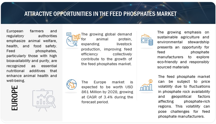 Feed Phosphates Market