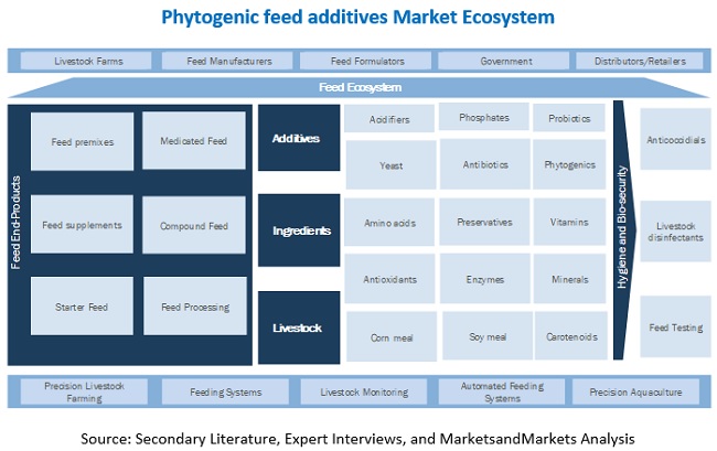 Phytogenic Feed Additives Market Industry Size, Analysis, And Research ...