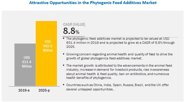 Feed Phytogenics Market Share Industry Growth Forecast To 2023 - 