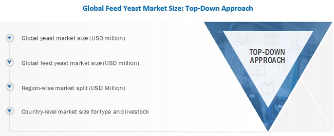 Feed Yeast Market Top Down Approach