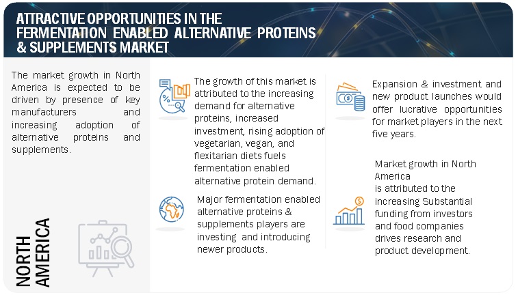 Fermentation Enabled Alternative Proteins & Supplements Market Opportunities