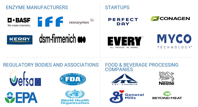 Top Companies in Fermentation Enzymes Market