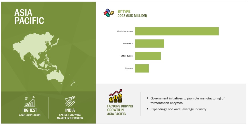 Fermentation Enzymes Market Size, and Share