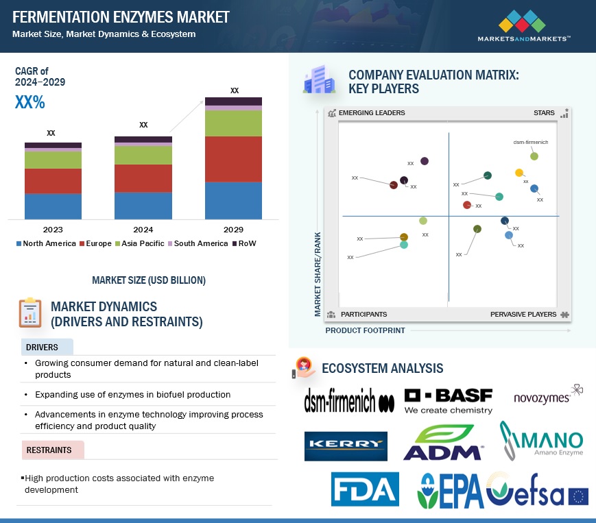 Fermentation Enzymes Market