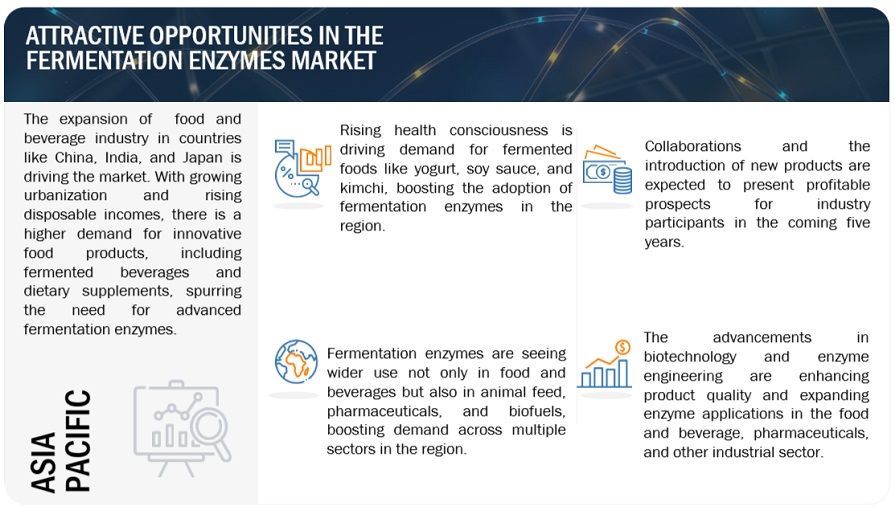 Fermentation Enzymes Market Opportunities