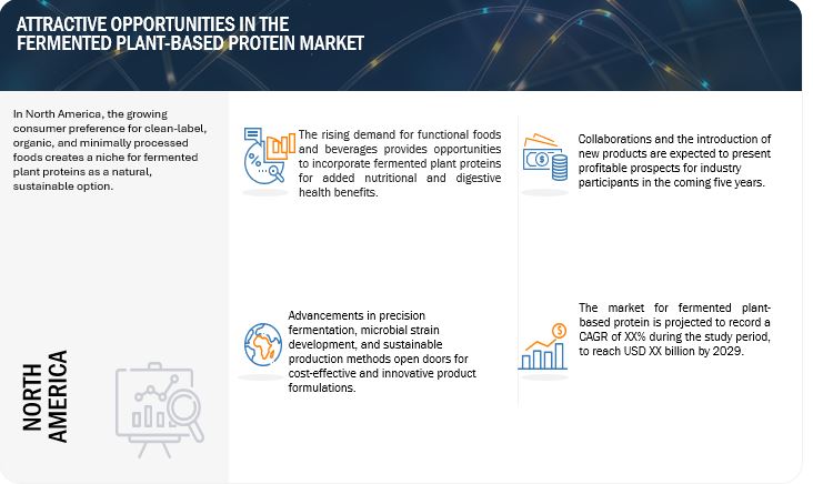 Fermented Plant-based Protein Market Opportunities